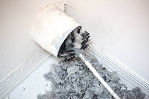 Best Affordable Duct Cleaning Services  in Clearview, WA